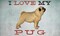 I Love My Pug I Poster Print by Ryan Fowler - Item # VARPDX35401